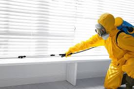 Best Real Estate Pest Inspections  in Jersey Village, TX